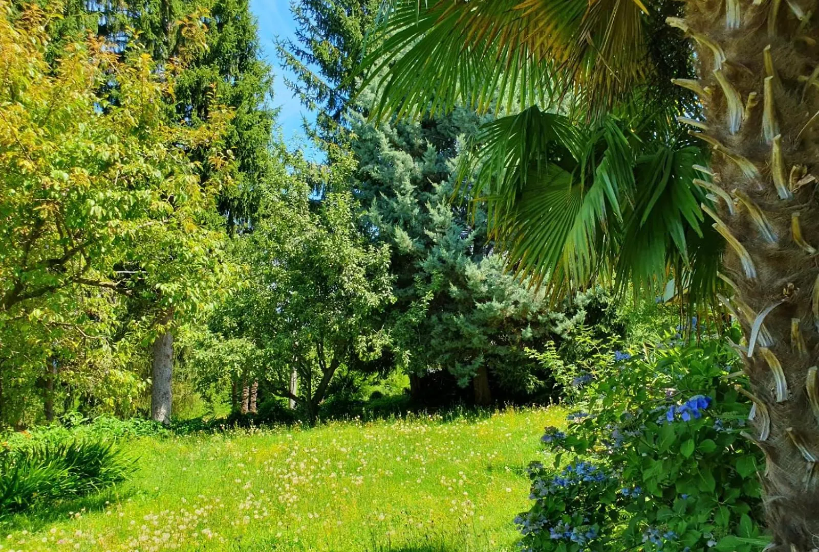 Casa Paradiso Porto Valtravaglia Apartment